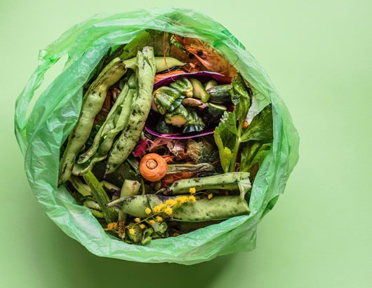 Organic Waste & Composting